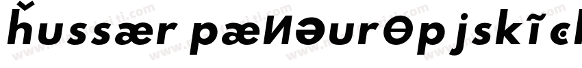 Hussar Paneuropjskich字体转换